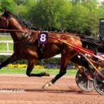 Champion Des Courses