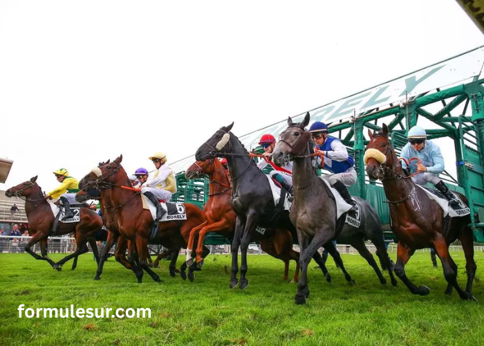 Course en Direct