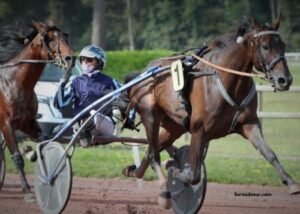 Ivoire Turf Vip