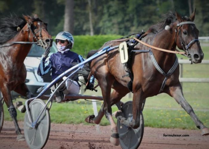 Ivoire Turf Vip