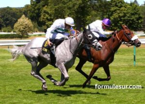 100 Ordre Turf