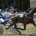 100100 Ordre Turf