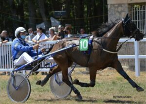 100100 Ordre Turf