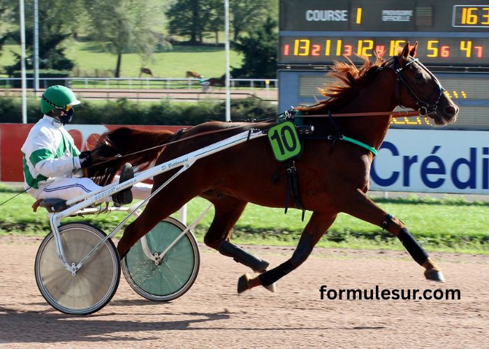 Le Blog DE Wolni (1)