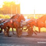 Les Leaders Turf