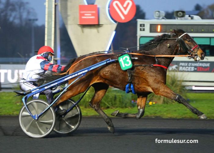Lesduels Du Quinté