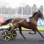 Lingodor Turf 2019