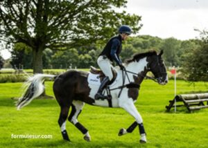 Mayocourse Turf