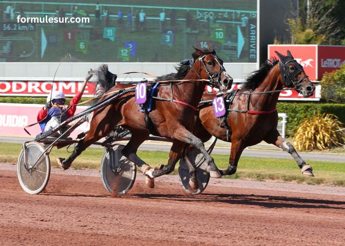 Nivard Guyon Turf (1)