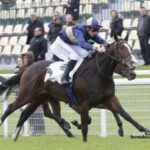 Paris Promise Turf