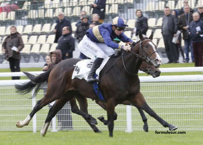 Paris Promise Turf