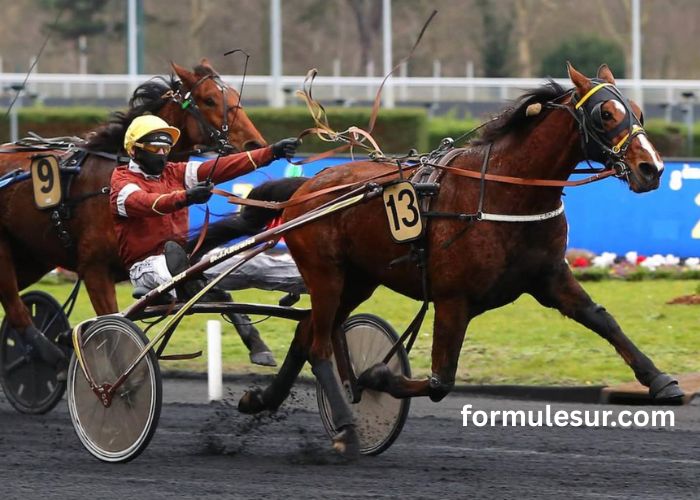 Pronostic Gratuit Turf (1)