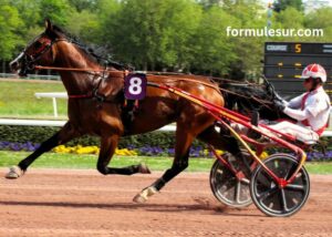 Heros Turf Vip (3)