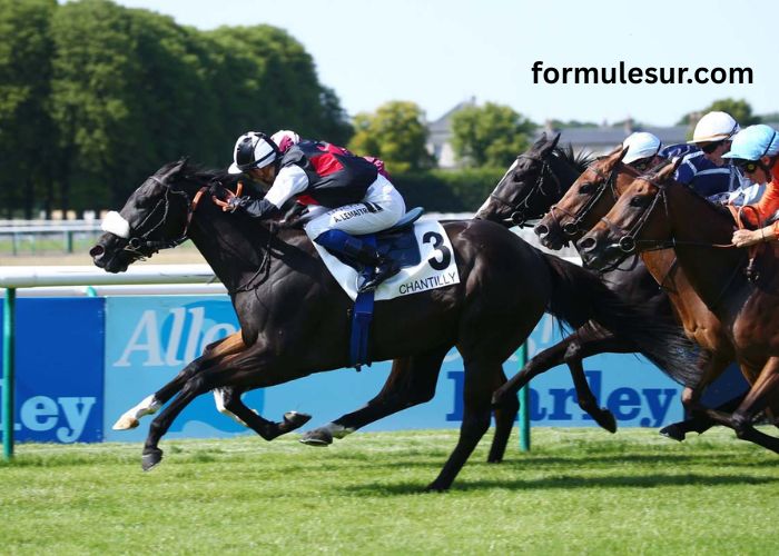 LA Filière Turf (1)
