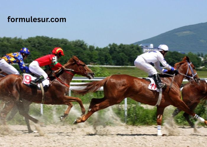 Le Duo Sur (1)