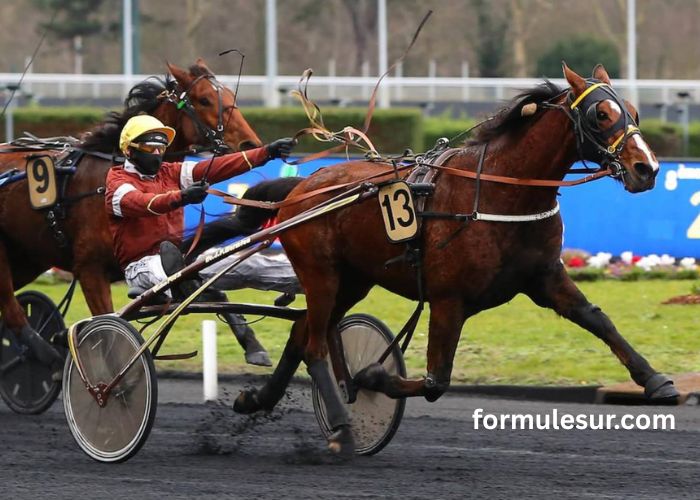 Les 3 Bases (2)