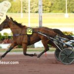 Les 7 Du Tiercé (1)