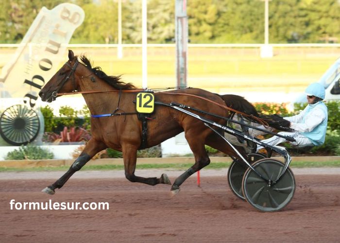 Les 7 Du Tiercé (1)