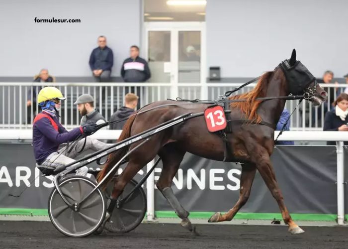 Prono Vérité Turf