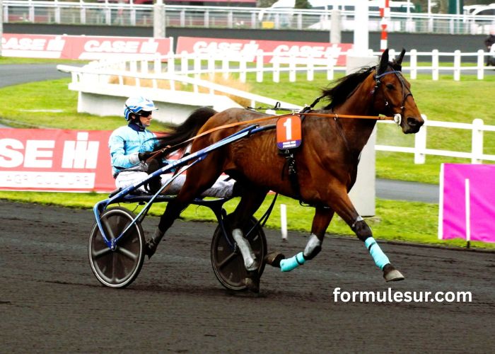 Pronostic Du Jour (2)