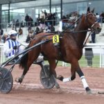 Turf Pronostic 7